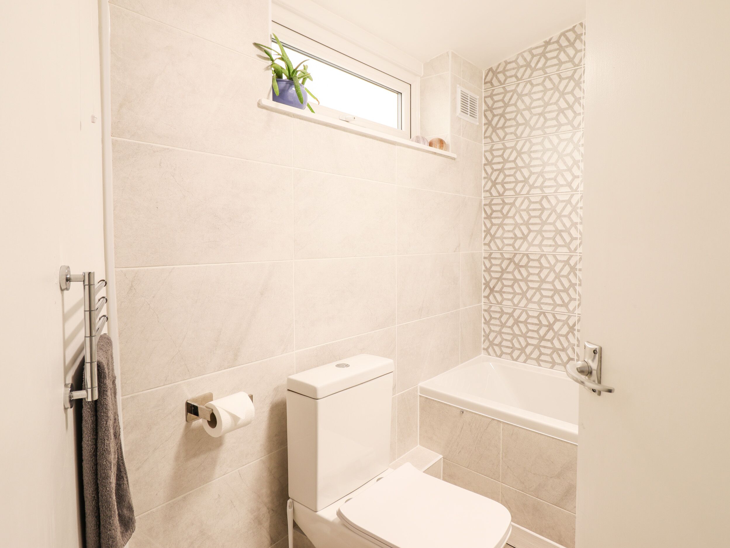 A bathroom with a toilet, a shower, and a window with a plant.