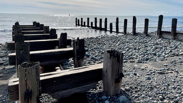 A wooden pier extending into a pebble beach with a clear sky and a distant bird. - Deu-ddrws (Barmouth)
