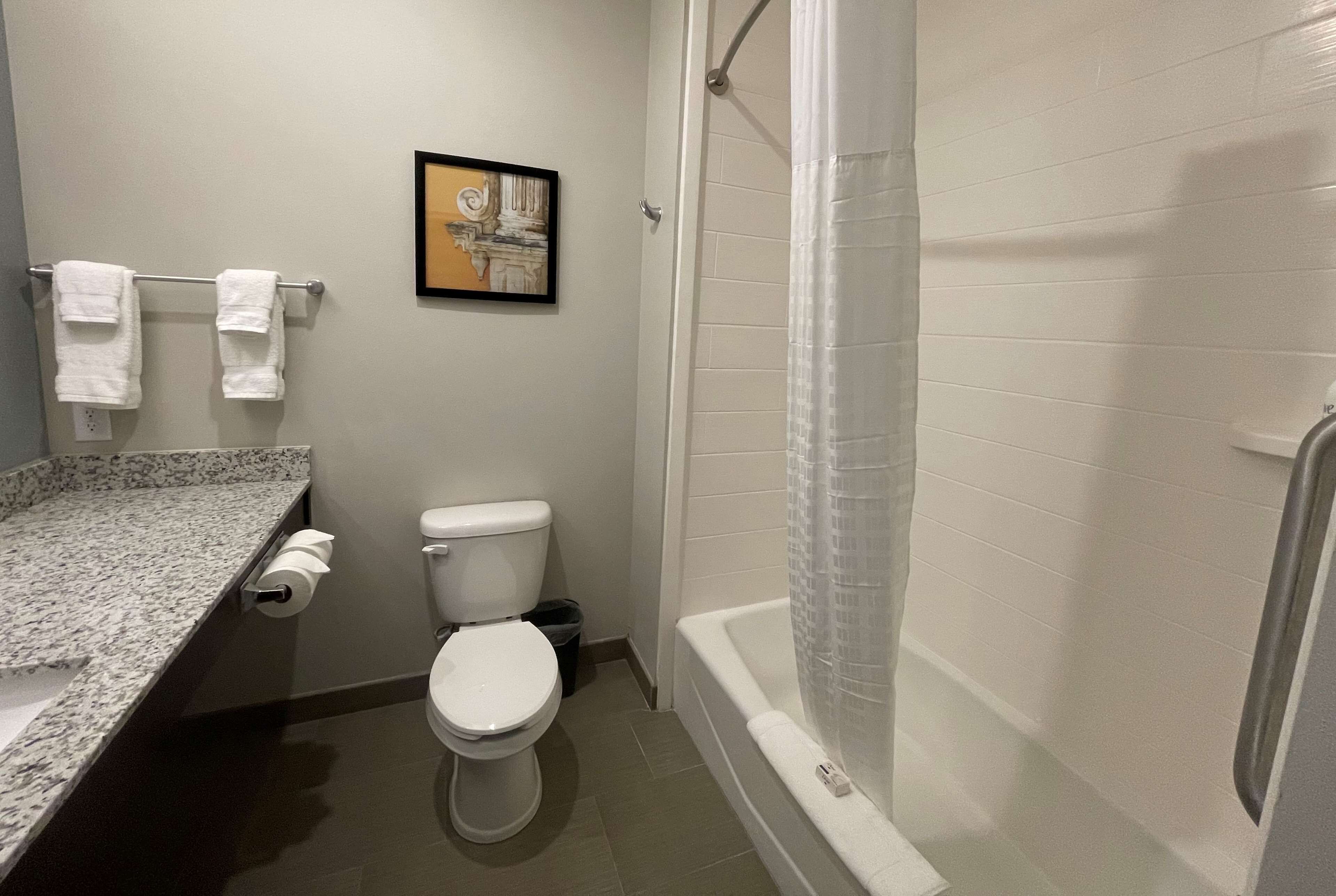 A bathroom with a toilet, a shower with a glass door, a marble countertop, and a framed picture on the wall.