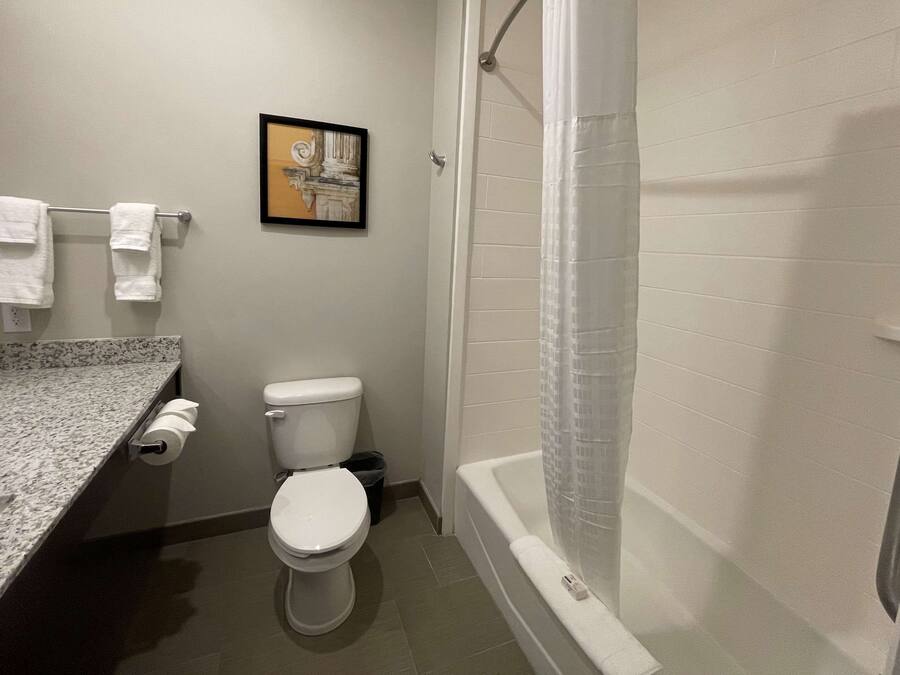 A bathroom with a toilet, a shower with a glass door, a marble countertop, and a framed picture on the wall.