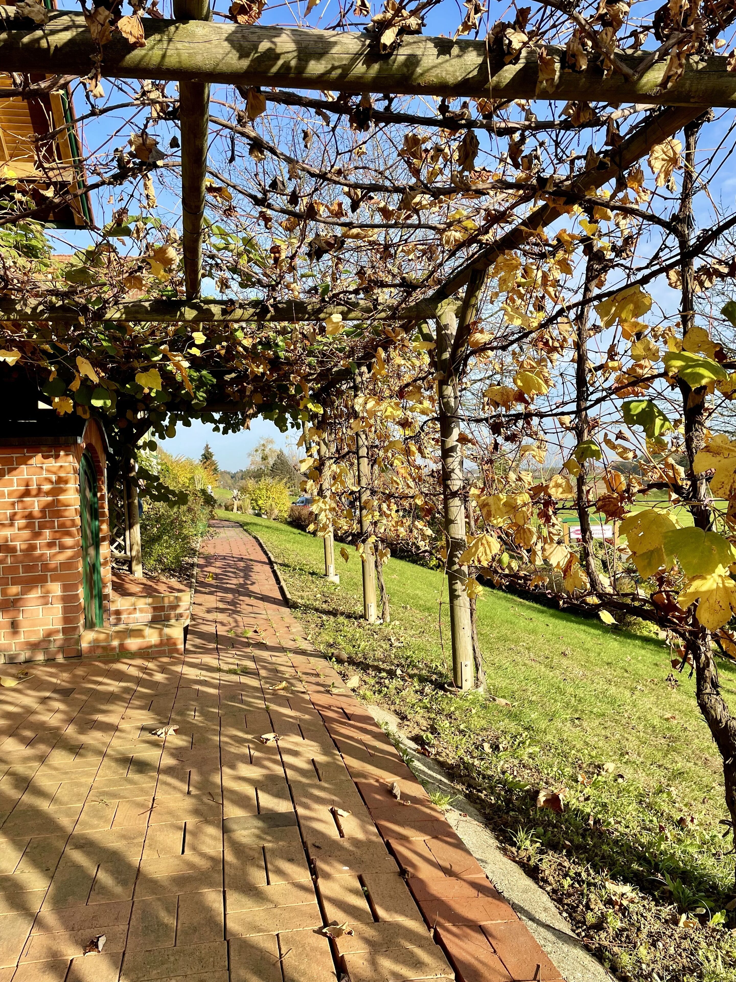 Xưởng rượu vang