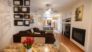 Télévision, cheminée, lecteur de DVD, livres