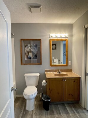 Bathtub, hair dryer - Condo 2 Bedroom 2 Bathroom-NO PETS (Fernie)