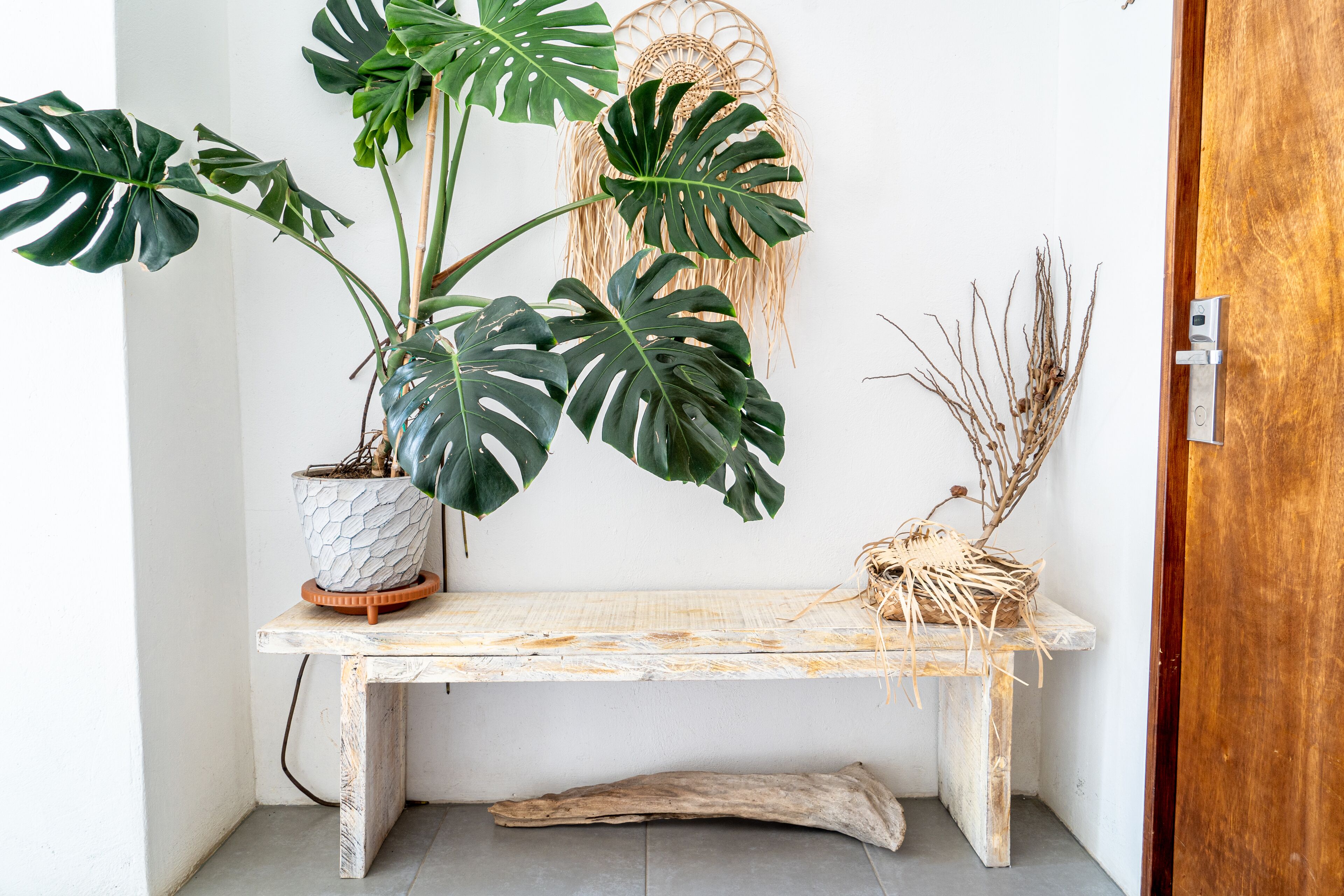 Televisión de pantalla plana