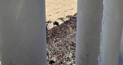 Best Beach Location in Isla Verde, Beach Front Building!