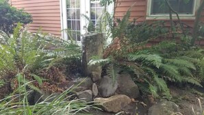 A garden with ferns and rocks in front of a house with a pink exterior and a white door. - Charming, Private, Detached Studio! (Portland)