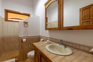 A bathroom with a sink, mirror, and toilet.