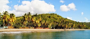 Peaceful villa with garden, 5 minutes from the beach and downtown Carbet