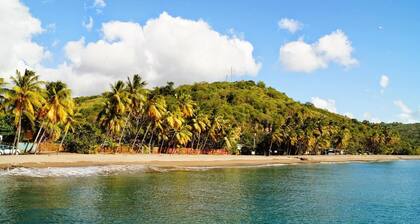 Peaceful villa with garden, 5 minutes from the beach and downtown Carbet