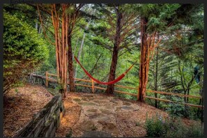 Property grounds - Mystic Creek Retreat (next to Blue Ridge) (Mineral Bluff)