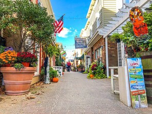 Exterior - POOL, 2 BD/2.5 BA, 4 blocks to the beach or town, sleeps 6 (Rehoboth Beach)