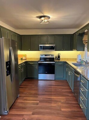 Une cuisine avec des meubles de couleur vert foncé, des appareils électroménagers en acier inoxydable et un plancher en bois.