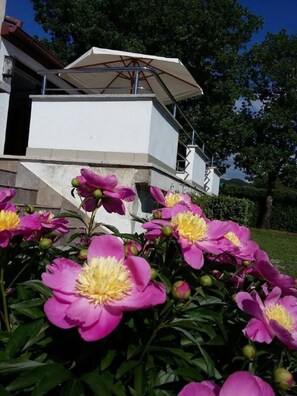 Details aan de buitenkant