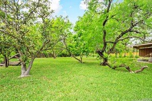 Property grounds - Step back in time! Grandma's MCM House is Super Cool! (San Antonio)