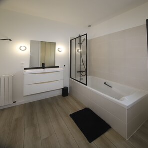 Shower, hair dryer, toilet paper