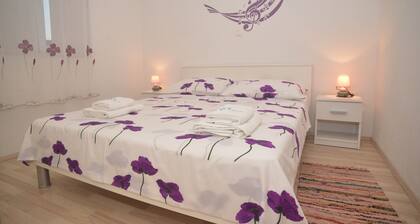 Barić- Standard One bedroom Apartment with Balcony (A3)