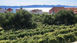 A coastal residential area with houses, dense greenery, and a clear view of the sea and distant mountains. - Apartments Suzana - Studio Apartment with Sea View (Bibinje)