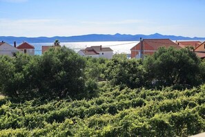 Miscellaneous - Apartments Suzana - Two Bedroom Apartment with Sea View (Bibinje)