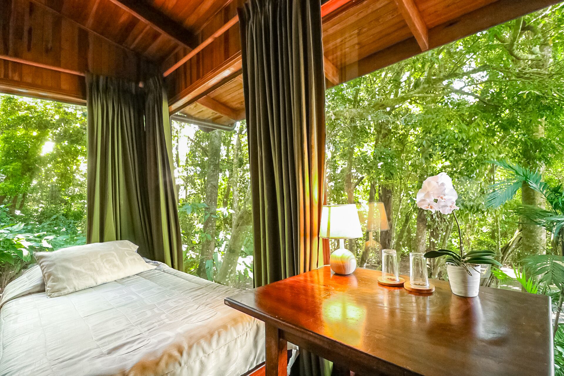Photo - Hotel Flor de Bromelia