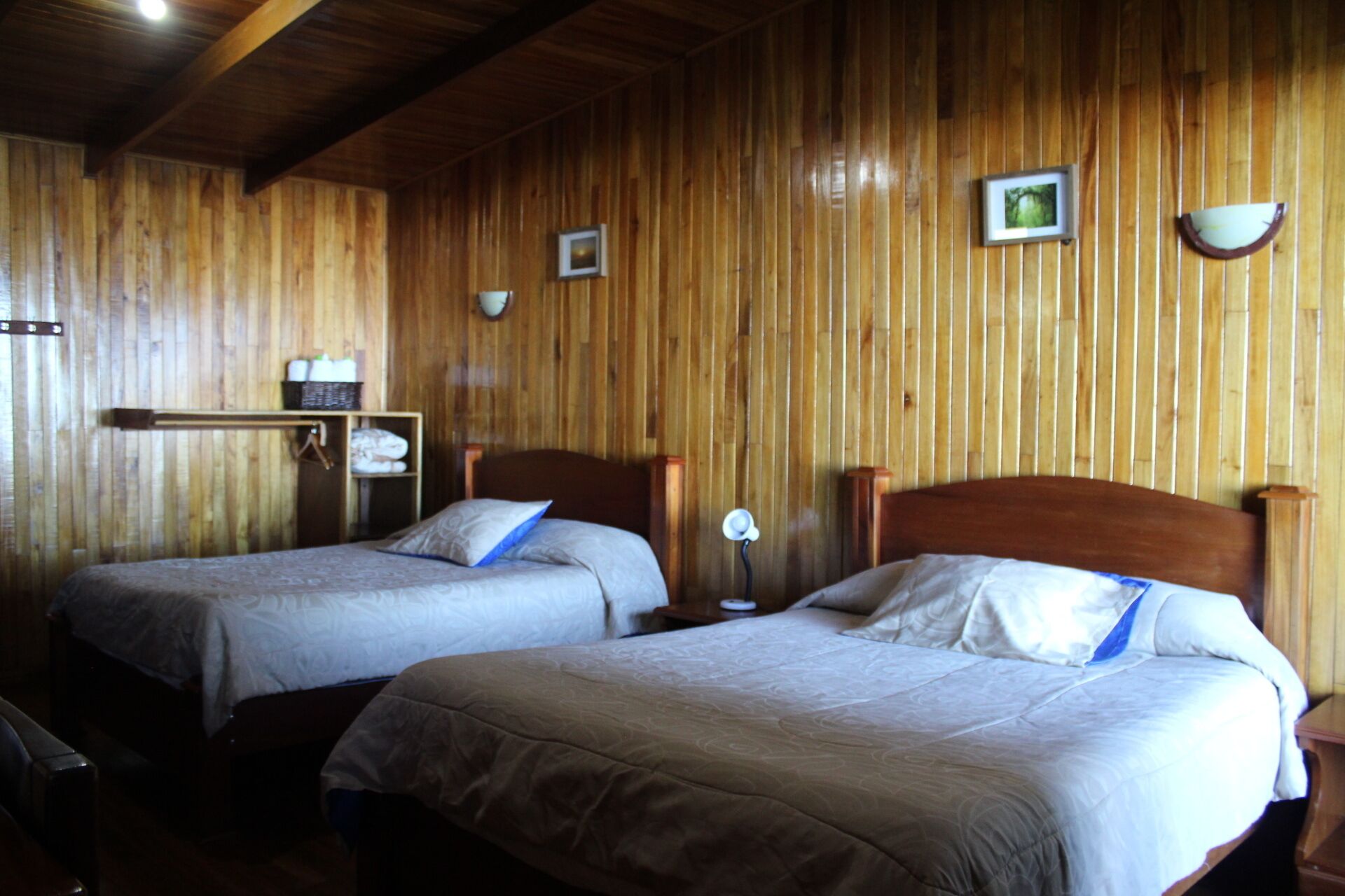 Two single beds with headboards, a wooden wall, a shelf with toiletries, and a small table with a lamp.