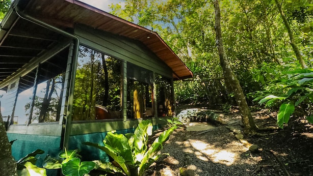 A small, single-story building with a sloped roof, surrounded by dense forest. - Hotel Flor de Bromelia (Monteverde)