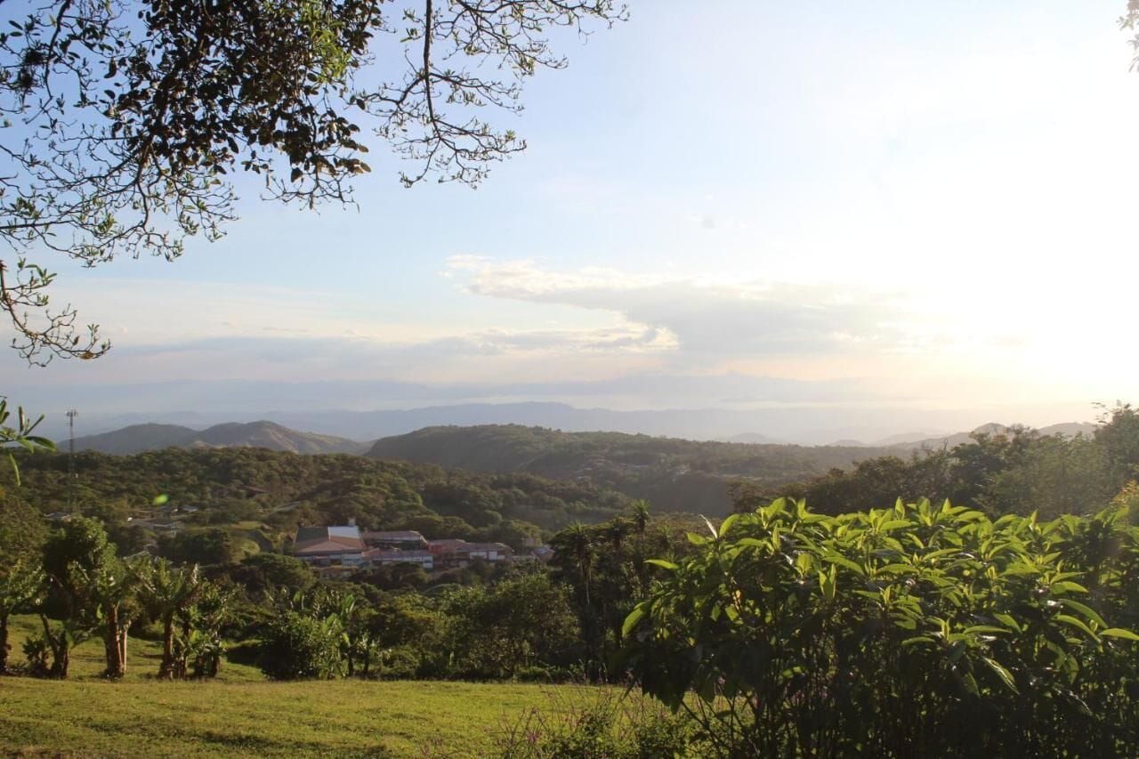 Photo - Hotel Flor de Bromelia