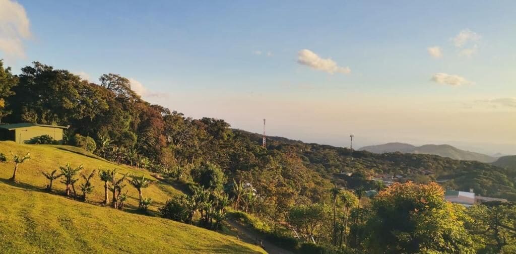 Photo - Hotel Flor de Bromelia