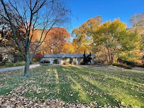 A residential property with a lawn, trees, and a garage.