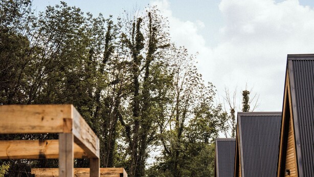 A wooden boardwalk leading to wooden cabins with metal railings, surrounded by trees. - Finger Lakes Treehouse & Spa (Sodus)