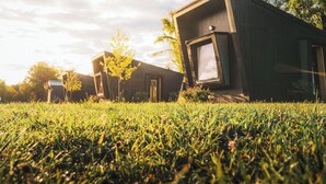 A modern house with a large window and a door, surrounded by grass and trees. - Finger Lakes Treehouse & Spa (Sodus)