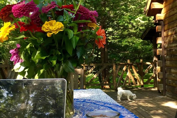 Àrea exterior de l'allotjament