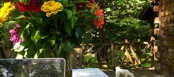 Rare private cabin retreat surrounded by 1700 acres of woods, yet close to town.