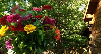 Rare private cabin retreat surrounded by 1700 acres of woods, yet close to town.