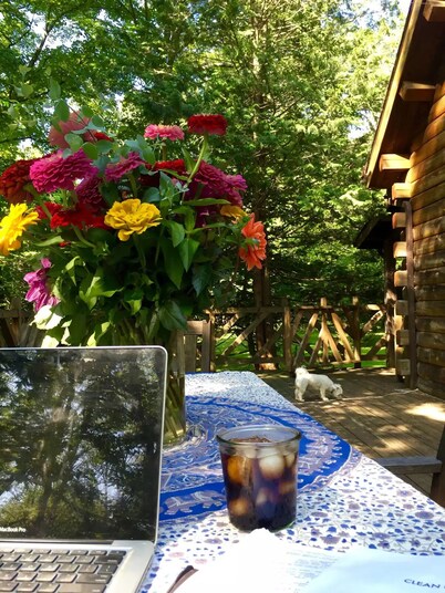 Rare private cabin retreat surrounded by 1700 acres of woods, yet close to town.