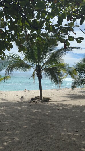 On the beach, sun-loungers, beach towels - Beachfront villa Juana right on the water! (santa teresa)