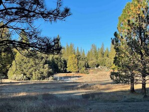Miscellaneous - Room to Roam at this Cabin (Mokelumne Hill)