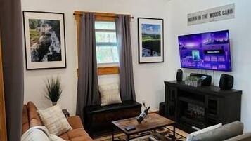 Smart TV, fireplace, books, stereo