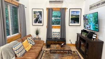 Smart TV, fireplace, books, stereo