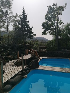 Ein Schwimmbad mit Holzterrasse und Felsen, umgeben von Bäumen und einer Bergkulisse.