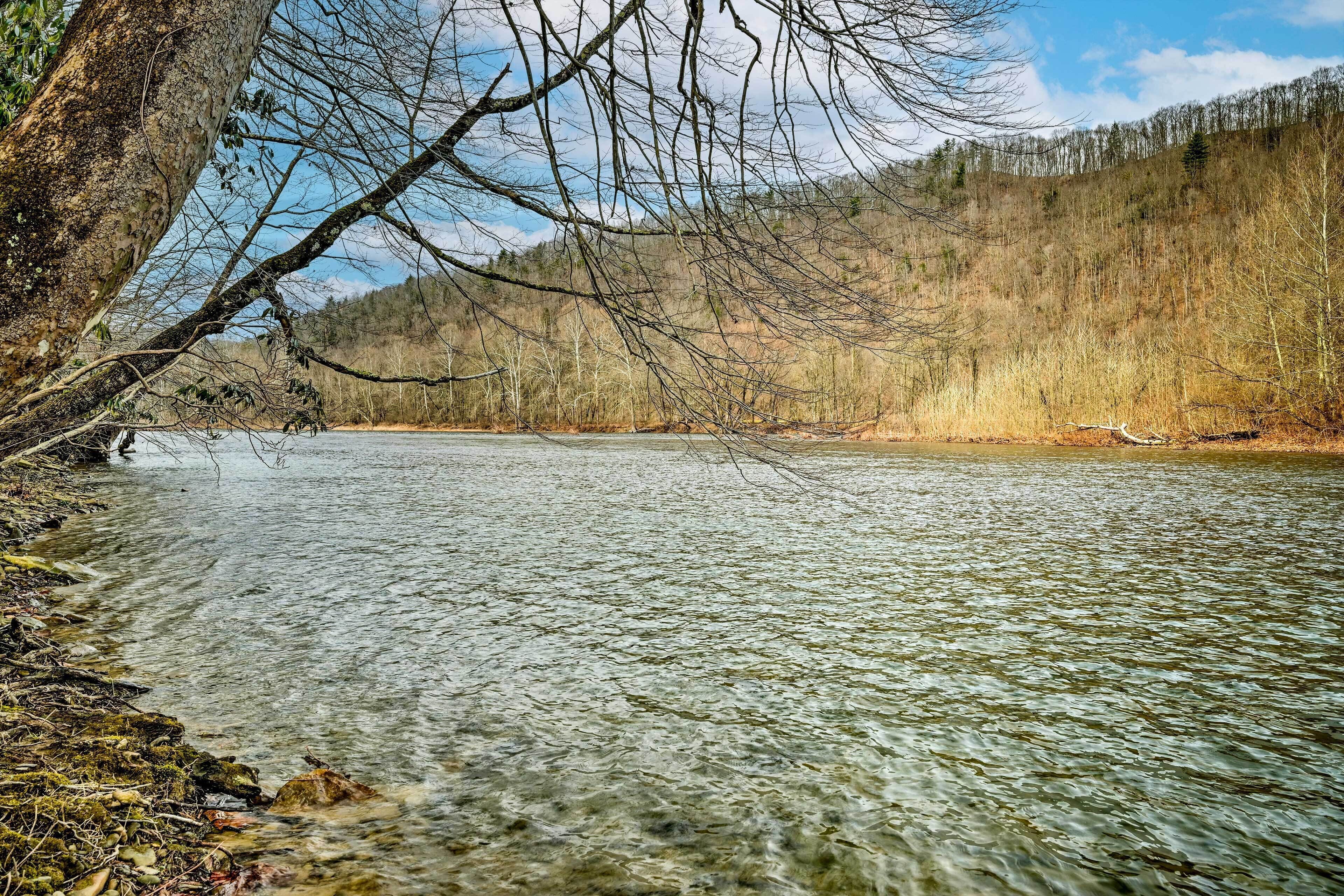 A clear river with a forested hillside in the background.