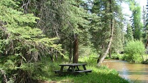 Outdoor dining - Dog Friendly Creekside Property close to Vallecito Lake minutes to Durango and so much adventure out the front door (Bayfield)