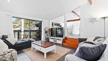 Smart TV, fireplace, DVD player, books