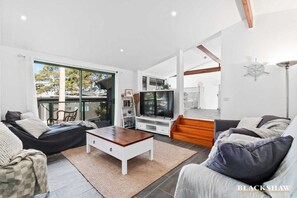 Smart TV, fireplace, DVD player, books