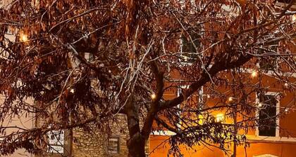 Old Town Nest in Civitavecchia