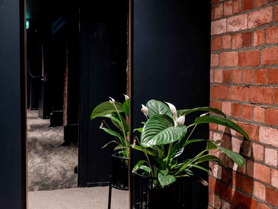 Un miroir avec un cadre noir, une plante en pot aux grandes feuilles et un mur de briques.