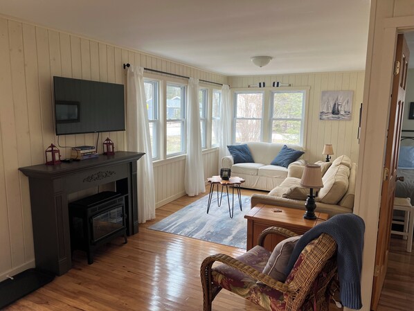 Smart TV, fireplace, books