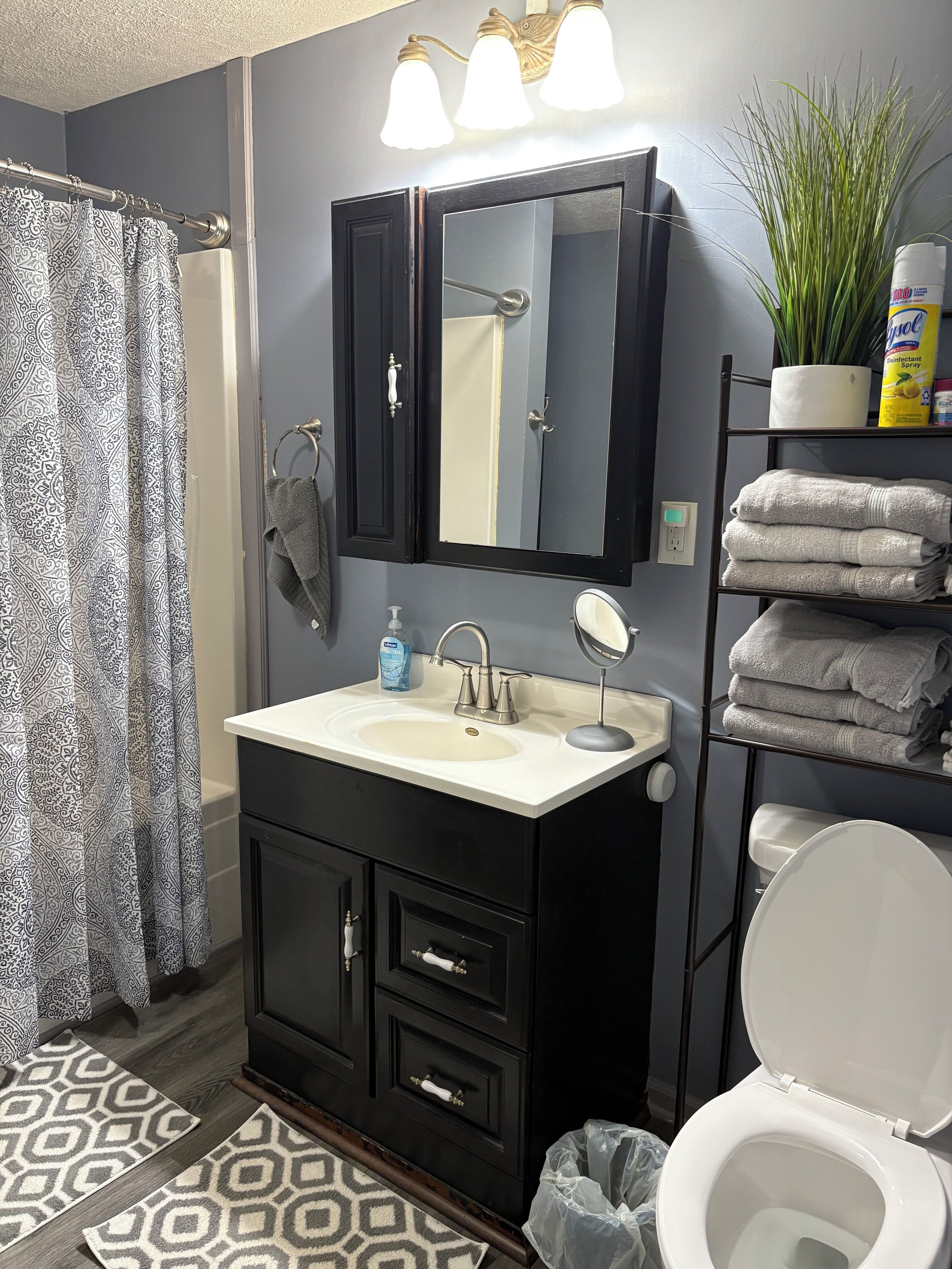 Hair dryer, towels, toilet paper