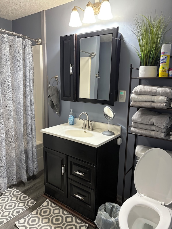 Hair dryer, towels, toilet paper - Stagecoach House. Right at the gateway to Ohios Amish Country. (Wilmot)