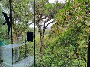 Vista da propriedade