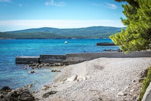 House | Property grounds